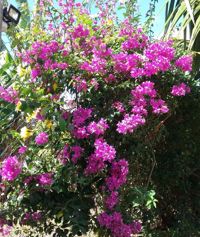 טרו ד'או דוס La Maison Soleil מראה חיצוני תמונה